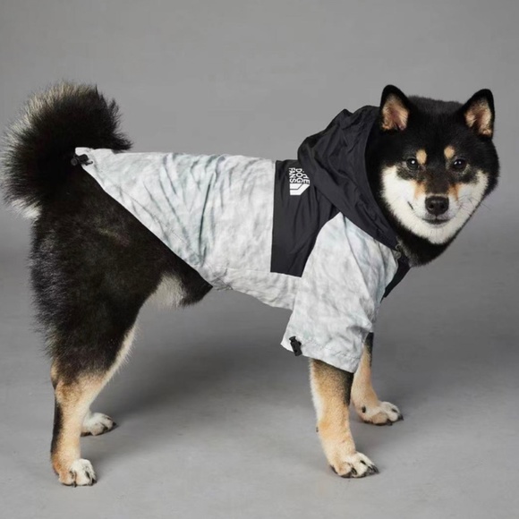Fall dog jacket - Picture 2 of 7